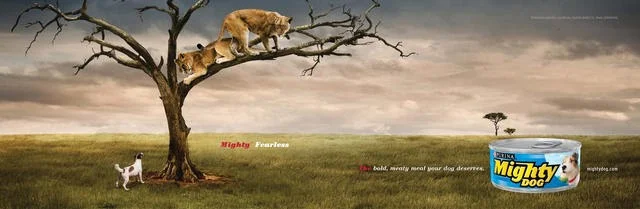 Mighty Dog — Mighty Fearless